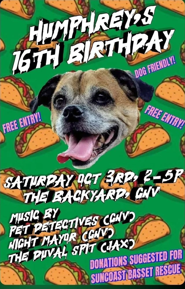 Pet Detectives, Night Mayor, Duval Spit at The Backyard in Gainesville, FL — October 3, 2026 concert flyer