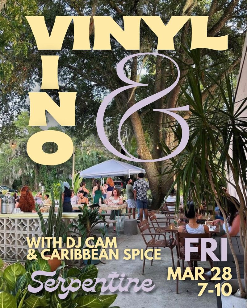 DJ Cam at Serpentine in Gainesville, FL — March 28, 2025 concert flyer