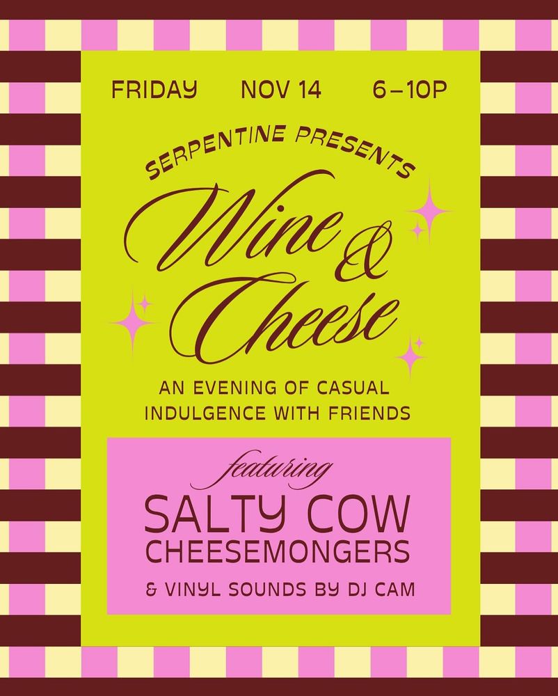 DJ Cam at Serpentine in Gainesville, FL — November 14, 2025 concert flyer