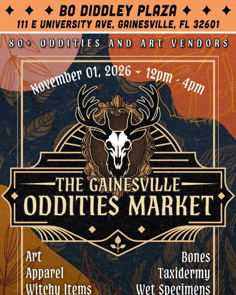 Live music event at Bo Diddley Plaza in Gainesville, FL — November 1, 2026 concert flyer